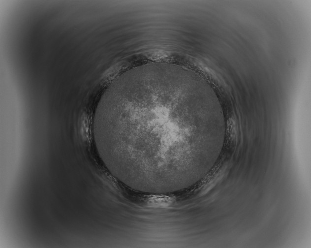 X0000100310234200806051502