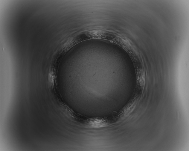 X0000100310235200806051502