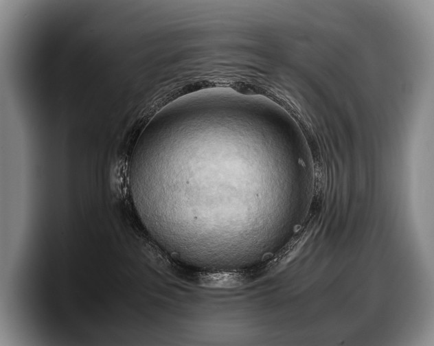 X0000100310237200806051502