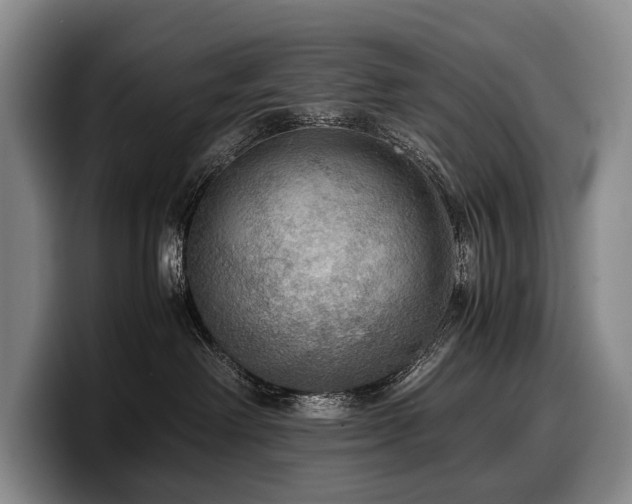 X0000100310238200806051502