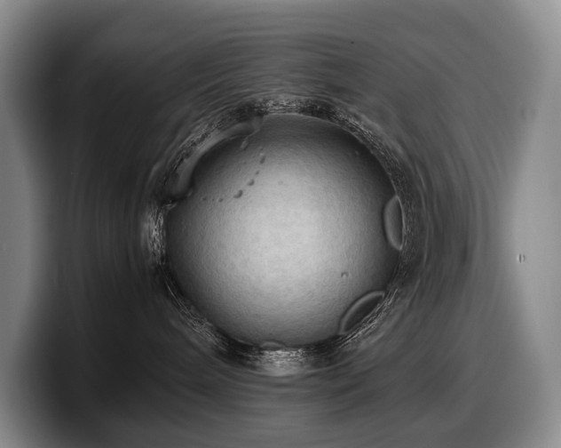 X0000100310240200806051502
