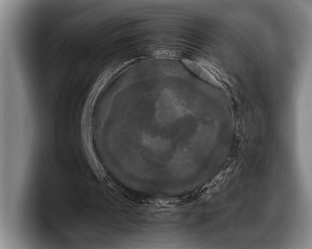 X0000100310241200806051502