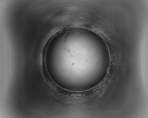 X0000100310242200806051502