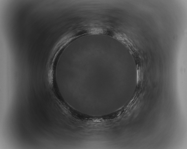 X0000100310243200806051502