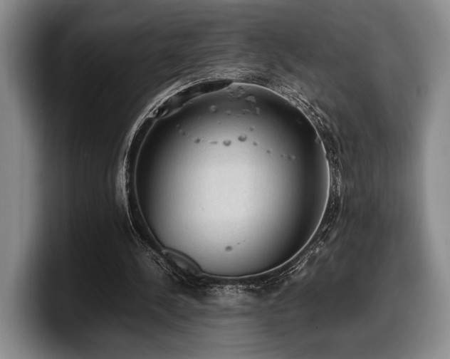 X0000100310244200806051502