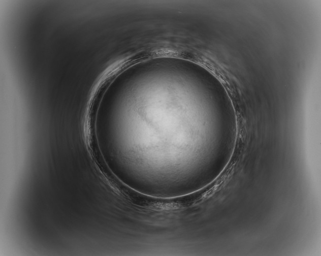 X0000100310245200806051502