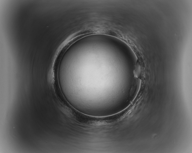 X0000100310246200806051502