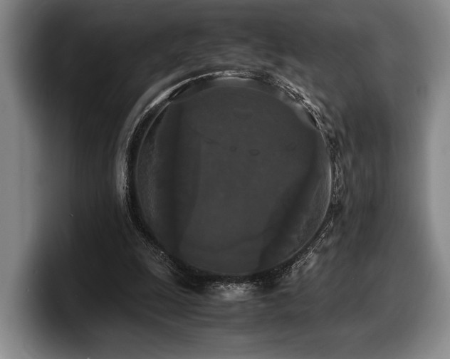X0000100310247200806051502