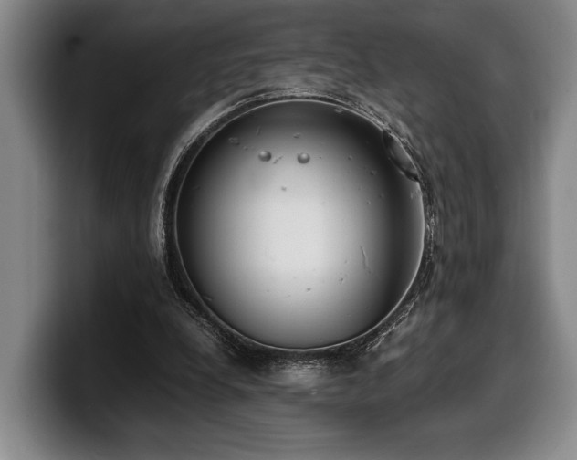 X0000100310248200806051502