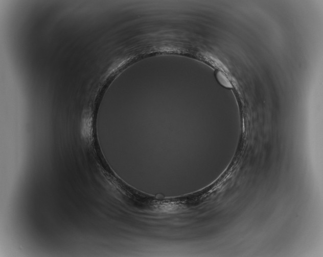 X0000100310249200806051502