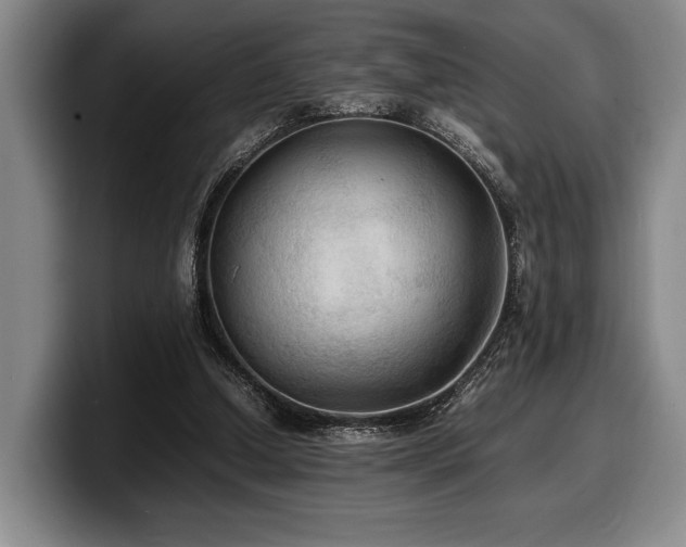X0000100310250200806051502