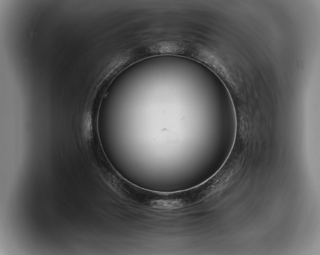 X0000100310251200806051502