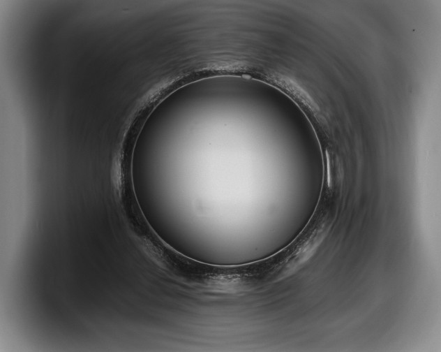 X0000100310252200806051502