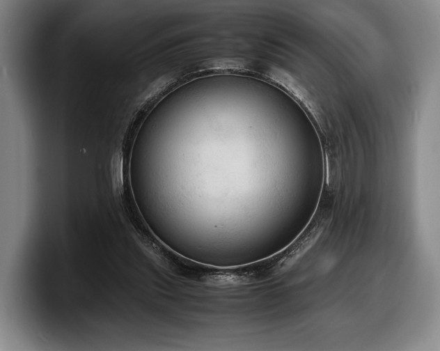 X0000100310253200806051502