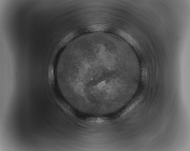 X0000100310254200806051502