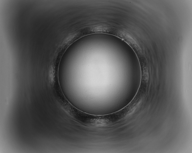 X0000100310255200806051502