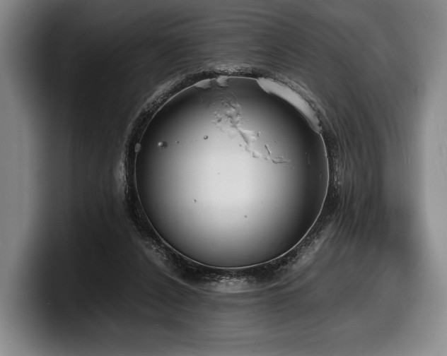 X0000100310256200806051502