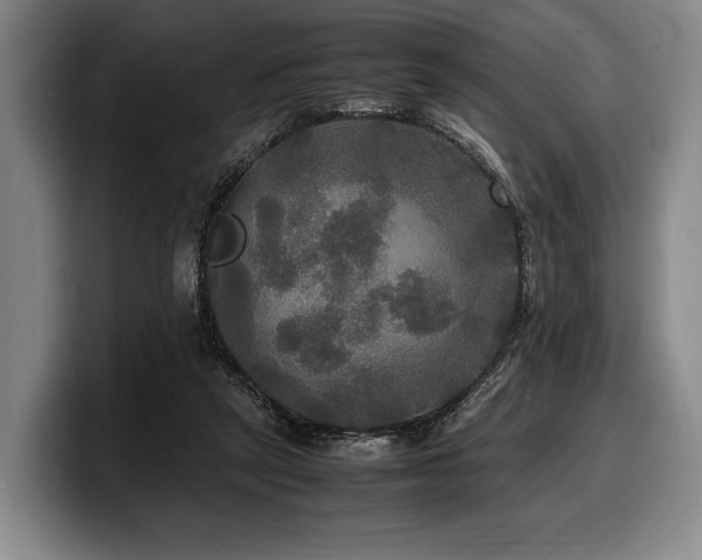 X0000100310257200806051502