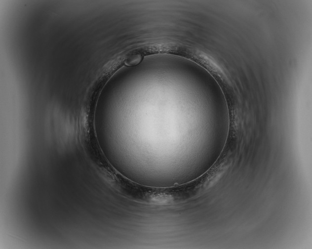 X0000100310258200806051502