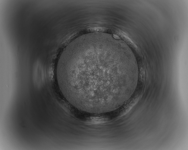 X0000100310259200806051502