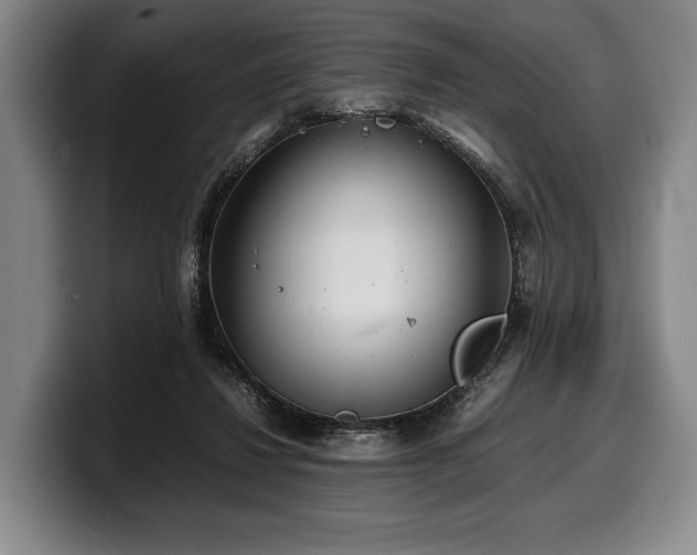 X0000100310260200806051502