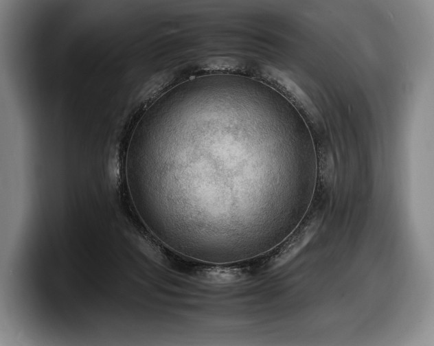 X0000100310261200806051502
