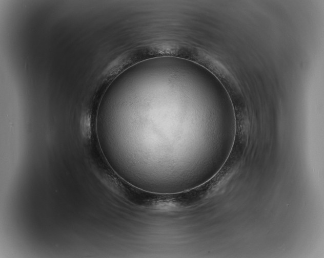 X0000100310262200806051502