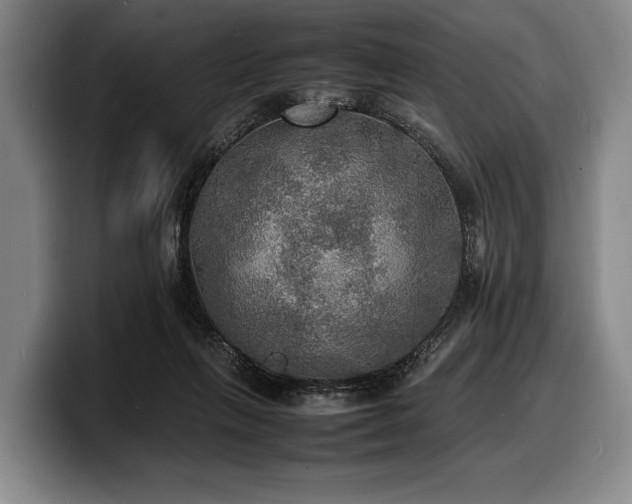 X0000100310263200806051502