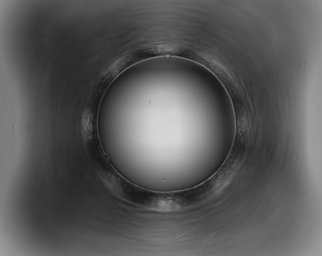 X0000100310264200806051502