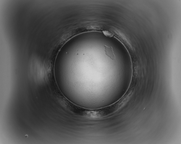 X0000100310265200806051502