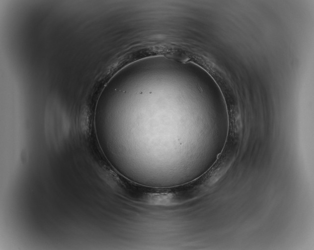 X0000100310266200806051502