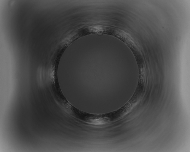 X0000100310267200806051502