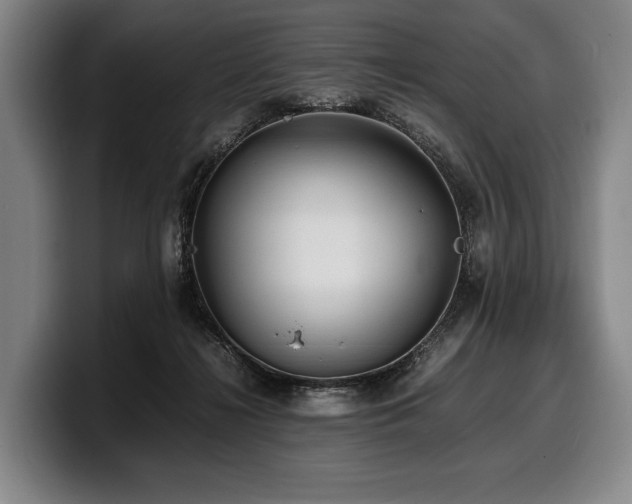 X0000100310268200806051502