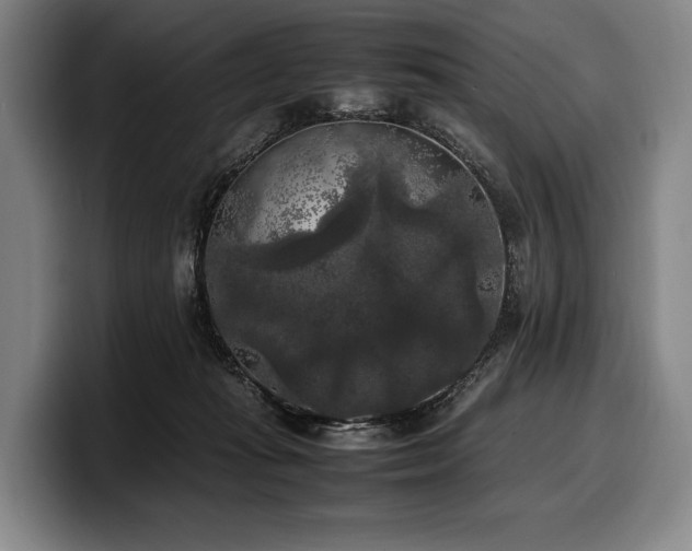 X0000100310269200806051502