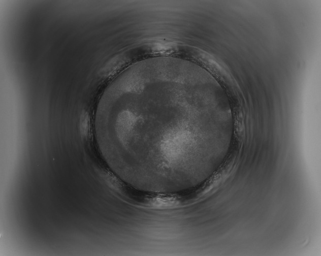 X0000100310270200806051502