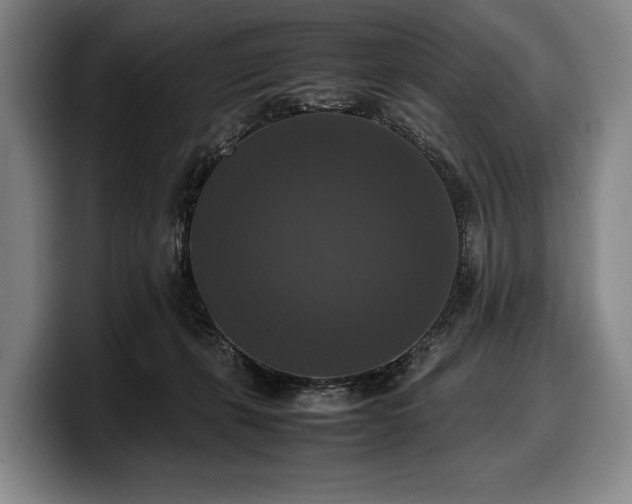 X0000100310271200806051502