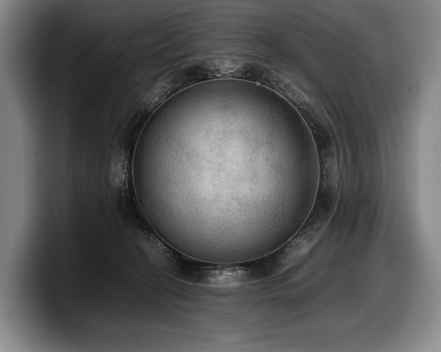 X0000100310274200806051502