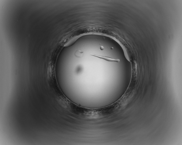 X0000100310276200806051502