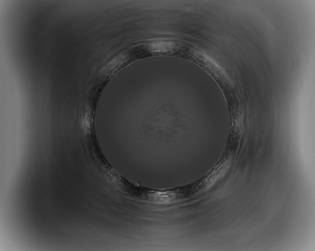 X0000100310277200806051502