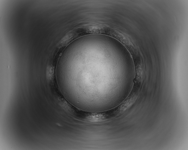 X0000100310278200806051502