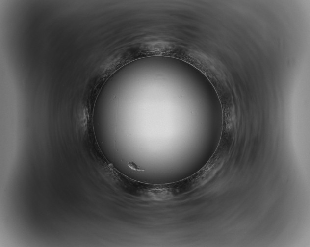 X0000100310279200806051502