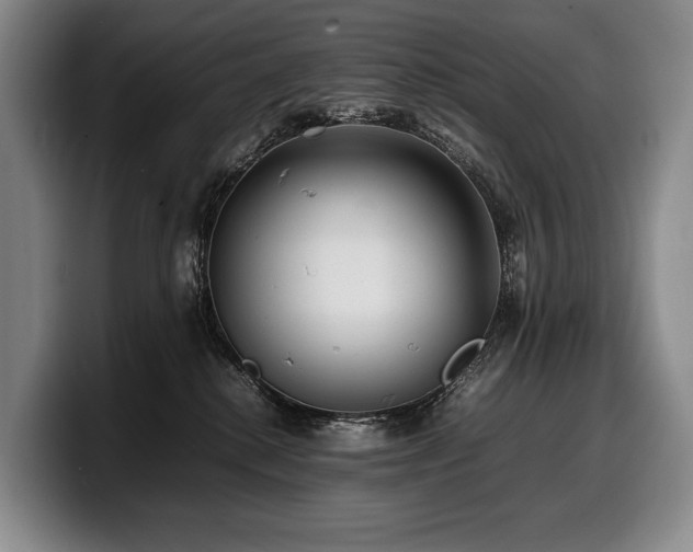 X0000100310280200806051502