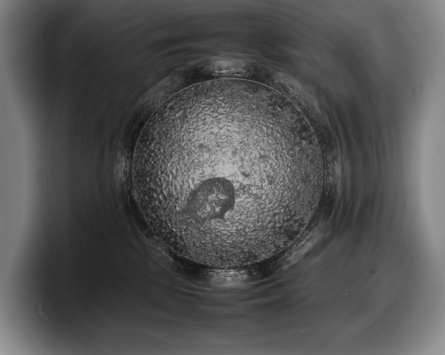 X0000100310281200806051502