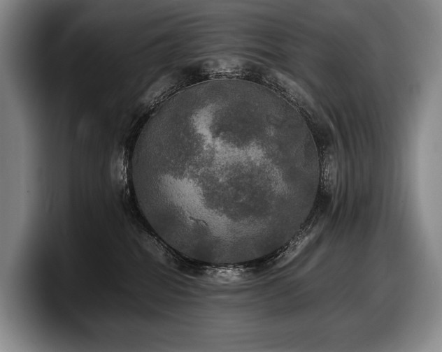 X0000100310282200806051502
