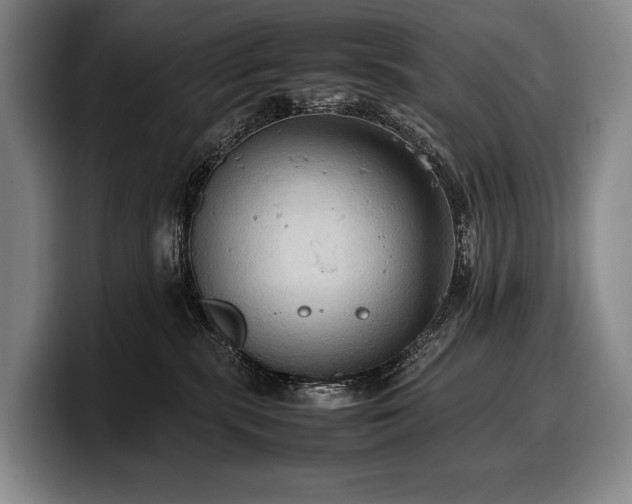 X0000100310283200806051502