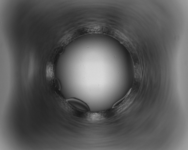 X0000100310287200806051502