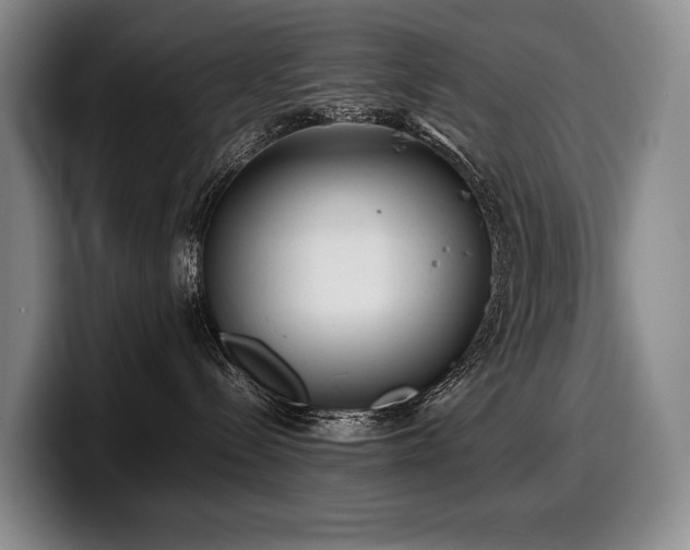 X0000100310288200806051502