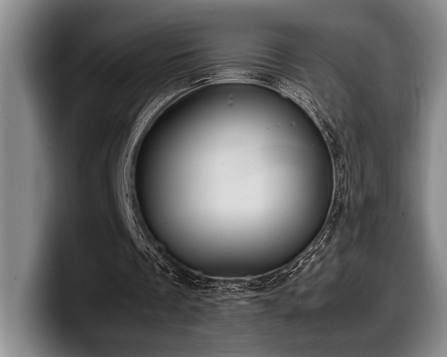 X0000100310289200806051502