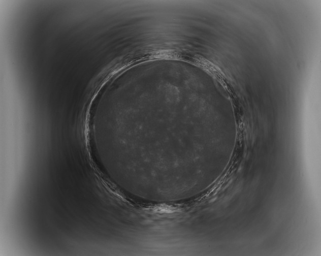 X0000100310290200806051502