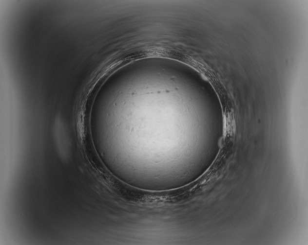 X0000100310291200806051502